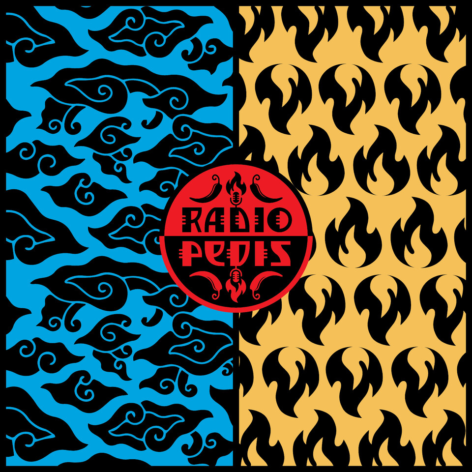 Interview podcast Radio Pedis